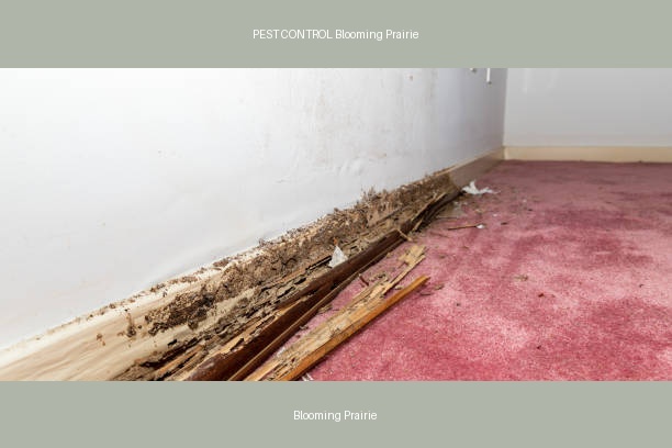 PEST CONTROL Blooming Prairie